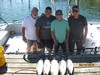 (09/16/2018) - Nice Striped Bass